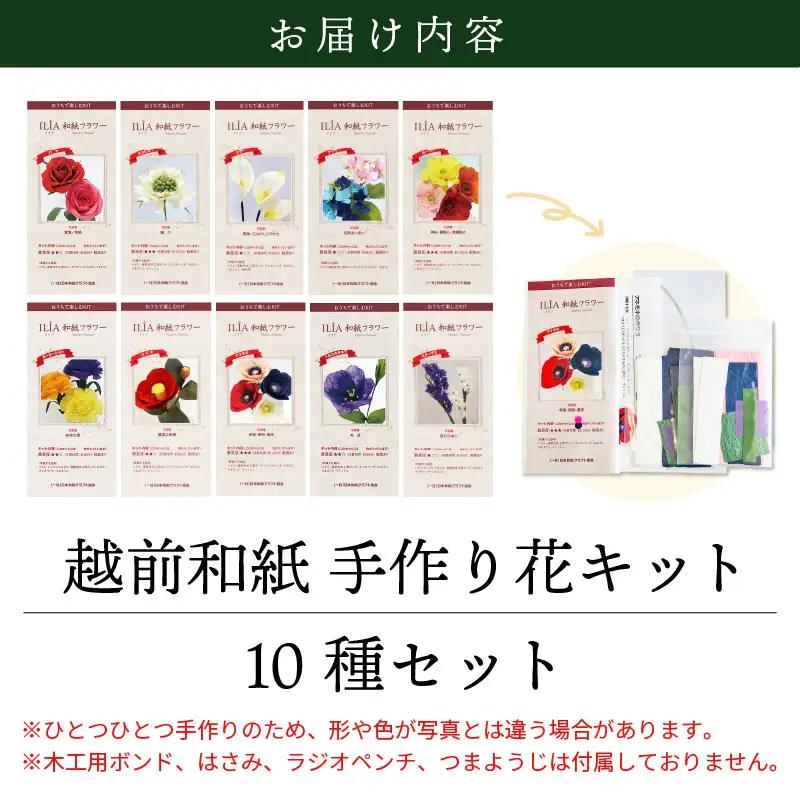 越前和紙 お花 手作りキット 10種セット（バラ カーネーション ガーベラ 他7種）【造花 インテリア お家時間 プレゼント】[e51-c001]