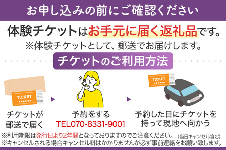 ブルーベリー狩り体験チケット こがブルーベリー園 体験 ブルーベリー狩り フルーツ狩り 食べ放題 ぶるーべりー チケット 古賀市