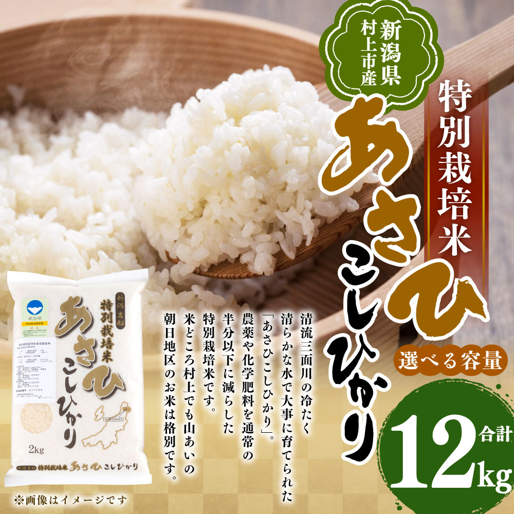 【令和7年産米】新潟県村上市産 特別栽培米 コシヒカリ 12kg B4029