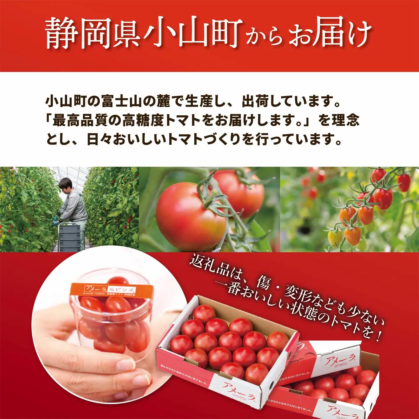 【先行予約】トマト ミニトマト アメーラ＆ルビンズ10P