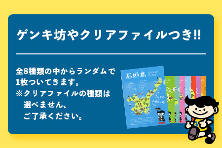 【ふるさと納税限定】八重山ゲンキ乳業 オールスターセット【八重山ゲンキ乳業】【ゲンキ牛乳】【石垣島のソウルドリンク ゲンキクール】【ゲンキカフェ】【さんぴん茶ミルクティー】