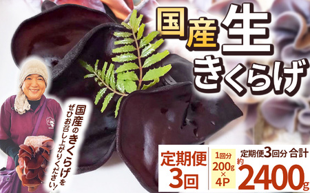 【先行予約】【期間限定】【定期3回】生きくらげ 200g×4P ともちゃん農園 |定期便 きくらげ 生きくらげ 食物繊維 鉄分 カルシウム ビタミンD カリウム アミノ酸 低カロリー ダイエット中でも安心 高血圧予防 ふるさと 納税 栃木県 那珂川町 送料無料