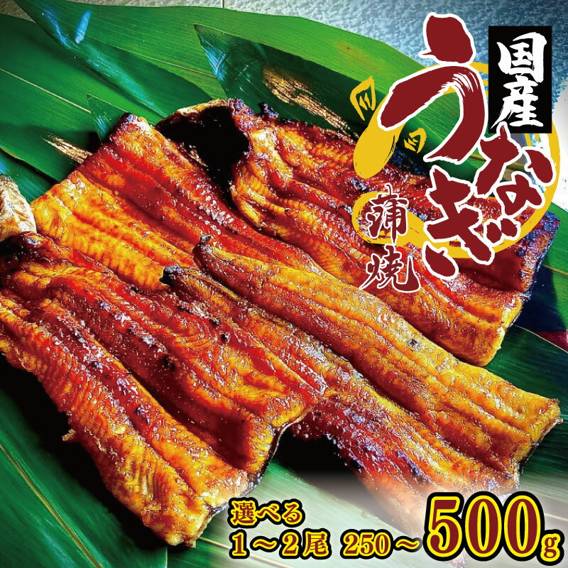 【ふるさと納税】 うなぎ 鰻 蒲焼 選べる 1尾 2尾 (1尾250g) たれ付き 炭火焼き 秘伝のたれ 土用の丑 丑の日 簡単調理 うな重 うな丼 ひつまぶし ギフト プレゼント 贈答 国産 冷凍 送料無料 吉野川市 徳島県