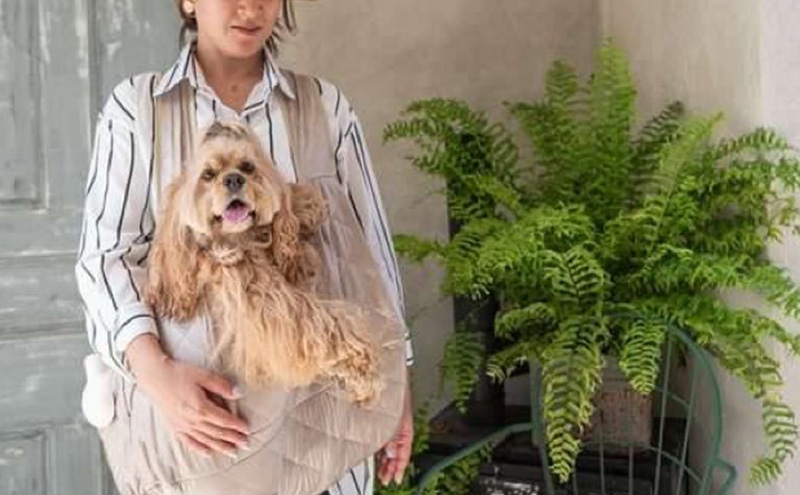 ペット用品 小型犬用スリングMサイズ(ピンク/ゴールド)  ペット スリングバッグ ペットキャリー ペットスリング ドッグスリング ショルダー 抱っこ紐 バッグ お出かけ【ピンク】