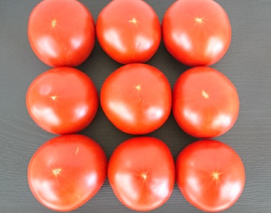 【旨すぎる】こだわり絶品高原とまと【フルーツトマト約２kg】【2025年7月中旬～10月下旬発送】【A010-frks006】