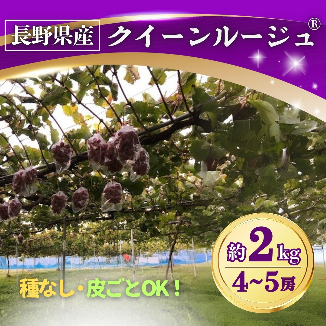 ぶどう クイーンルージュ®︎約2kg(4~5房) 長野県オリジナル品種｜ 果物 フルーツ 赤ぶどう 葡萄 ブドウ 種無し 種なし 皮ごと 千曲市 長野県 信州