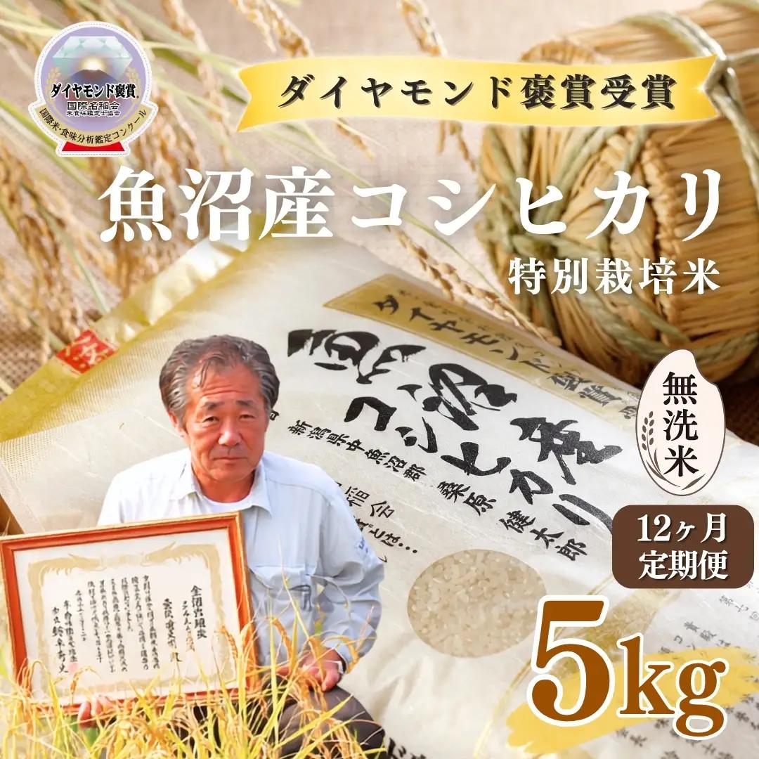 令和8年産 12ヵ月定期便 魚沼産コシヒカリ 無洗米 ダイヤモンド褒賞受賞 特別栽培米 5kg ×1袋 |津南町 魚沼