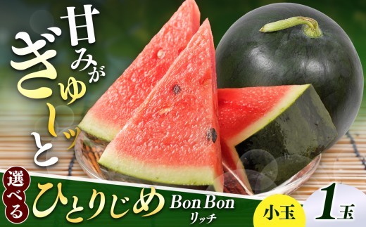 
                  【選べるサイズ】松本市 波田産 小玉すいか ひとりじめBonBonリッチ｜先行予約 スイカ すいか 小玉スイカ 小玉 果物 くだもの 新鮮 果汁 ジューシー フルーツ ふるーつ 長野県 松本市 寄附額9000円～
                