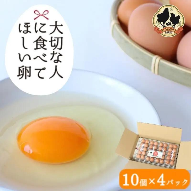 大切な人に食べてほしい卵 10個入×4パック【冷蔵配送】 / 田辺市 卵 たまご 鶏卵 平飼い お取り寄せ 卵かけごはん 和歌山県 【kag001】