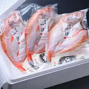 のどぐろ一夜干し３尾 400ｇ級使用「魚政のひもの」 のどぐろ 干物