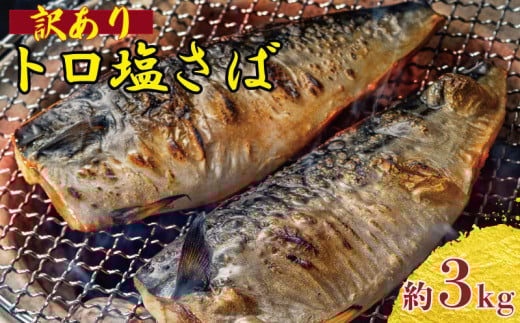 訳あり トロ 塩サバ フィレ 約3kg 塩鯖 塩さば 鯖 さば 人気 冷凍 大容量 塩鯖 鯖フィレ さばフィレ 美味しいさば 鯖 冷凍食品 切身 切り身 フィーレ 魚 海鮮 家庭用 塩鯖 魚介 おかず 鯖 おつまみ 惣菜 塩鯖 弁当 不揃い 規格外 傷 食品 グルメ 贈答 贈物 ギフト 鯖 長期保存 小分け お取り寄せ 塩鯖 ふるさと納税鯖 ふるさと納税 鯖 送料無料 千葉県 銚子市 飯田商店