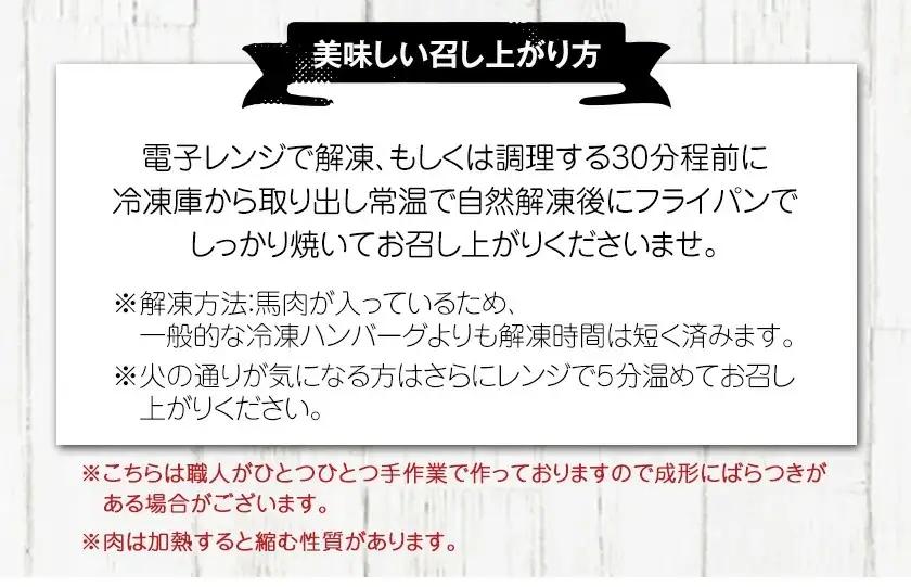 手作りハン馬ーグ 100g×10個 馬肉100%配合！【熊本肥育】ハンバーグ たっぷり 冷凍 お中元 肉 お手軽 お取り寄せ《30日以内に出荷予定(土日祝除く)》