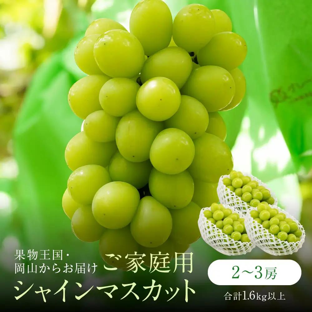 家庭用 シャインマスカット 2～3房 合計1.6kg以上 産地直送 朝採れ ぶどう 葡萄  岡山 Kawahara Green Farm 2026年 | シャインマスカット
