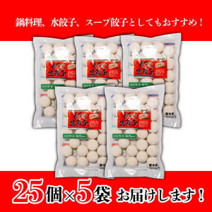 もち〇生餃子 【25個入×5パック 計125個】餃子餃子餃子餃子餃子餃子【ASN001】