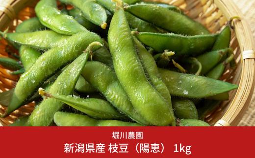 新潟県産 枝豆(陽恵) 1kg [2026年発送分 枝豆] 令和8年産枝豆 朝採りをお届け えだまめ [堀川農園] エダマメ【010S136】