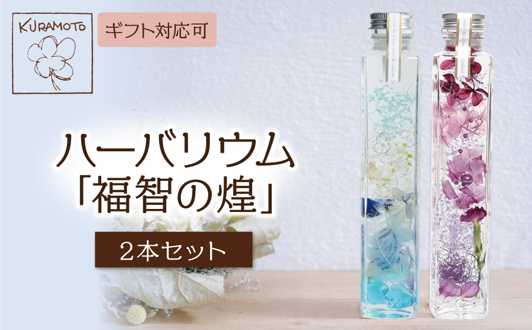 ﾊｰﾊﾞﾘｳﾑ2本セット「福智の煌」　【青×紫】