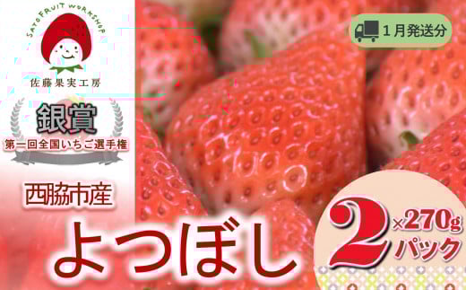《2026年産先行予約》「西脇市産 佐藤果実工房のよつぼし」（約270g×２パック 約540g）【佐藤果実工房 全国いちご選手権銀賞受賞農園 TVで紹介!】令和８年１月下旬配送分（07-45）