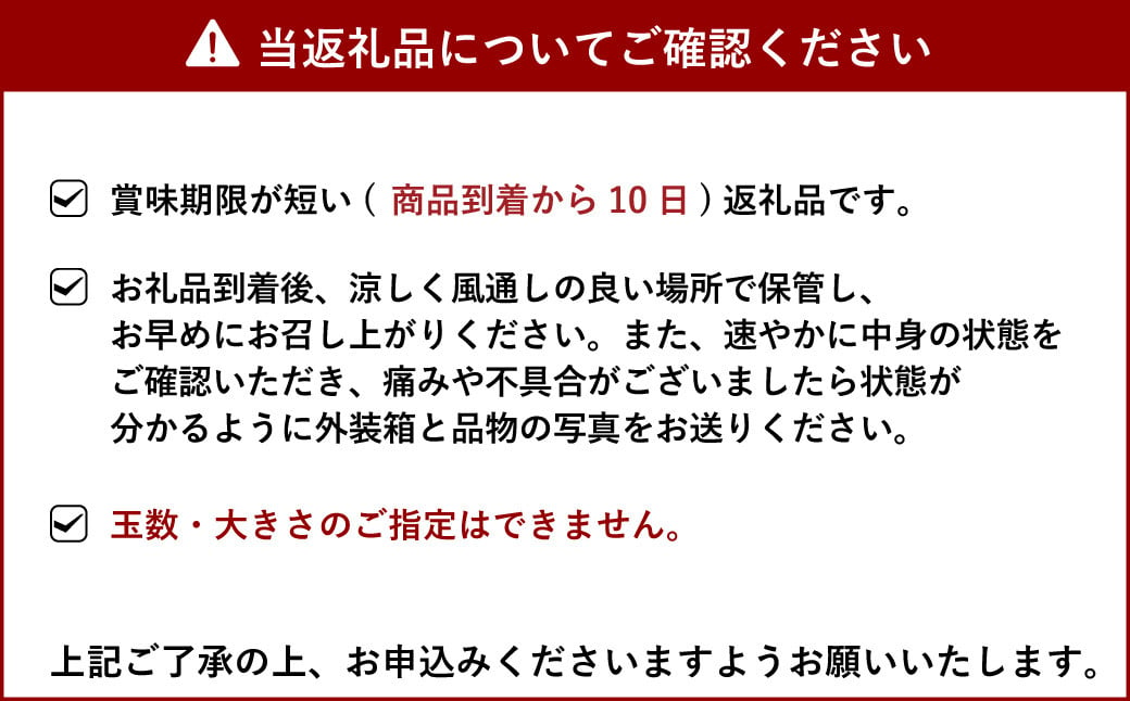 【先行受付】不知火 でこ姫 大箱 約4.5kg（11〜20玉）【吉田レモニー】【2025年4月上旬〜2025年5月下旬発送】しらぬい 柑橘 フルーツ 果物