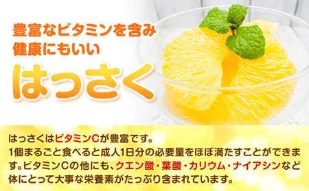 まーくん家の八朔 約9kg きただ農園まーくん家