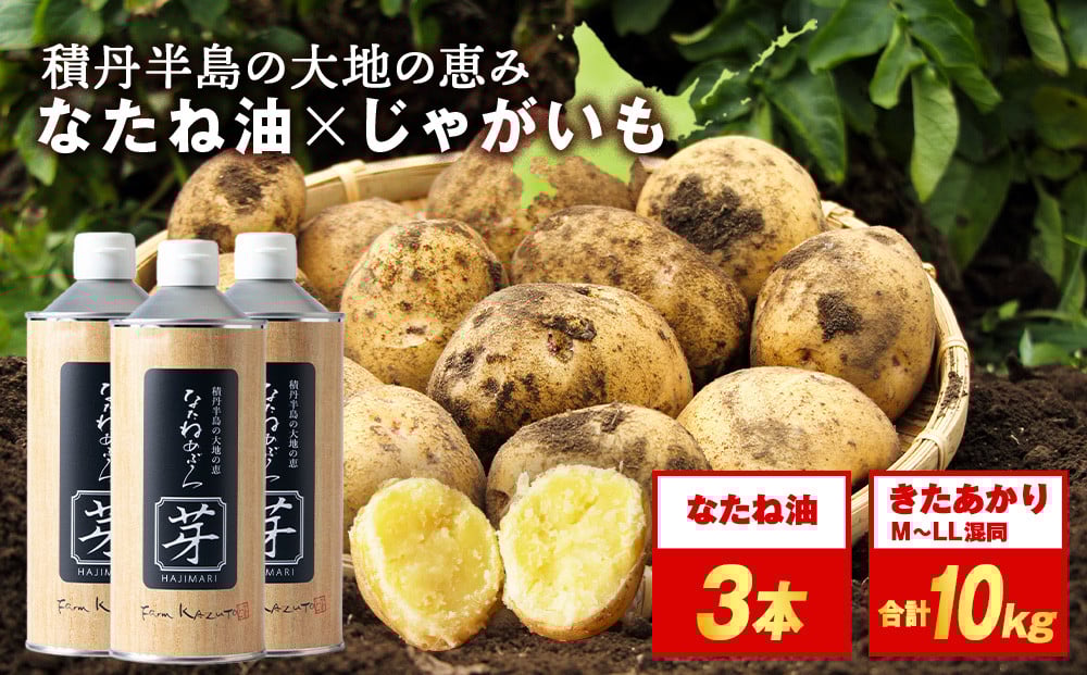 
            【2025年秋発送予約】積丹町産 きたあかり 10kg×なたねあぶら 芽（はじまり）添加物(600ｇ3本)セット
          