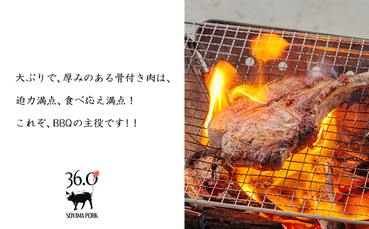 ソヤマポークの骨付き肉セット[ポークチョップ スペアリブ 燻製骨付きハム] TF865ｰP00078