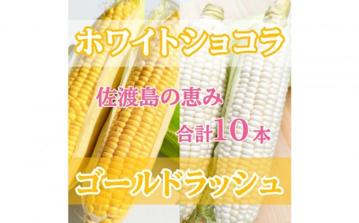 【2026年6月以降発送分】高糖度とうもろこし「ゴールドラッシュ」&「ホワイトショコラ」各5本 食べ比べセット