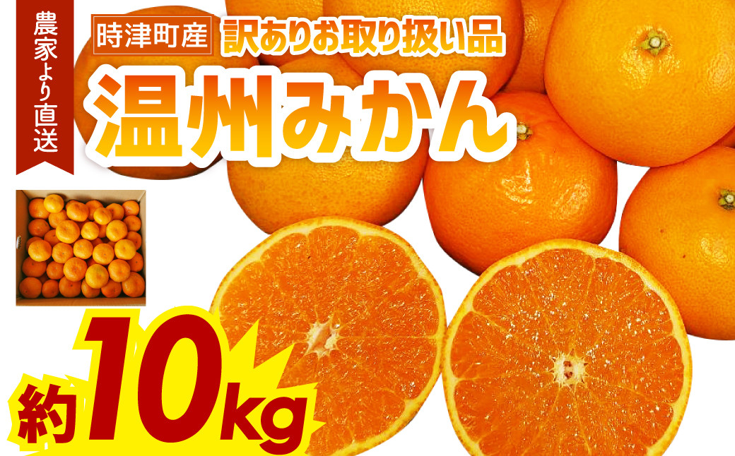 
【訳あり】 温州みかん 約10kg
