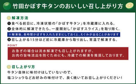 【13営業日以内発送】もつ鍋(こってり味噌) 2～3人前 ＆ 竹田かぼす 厚切り 牛タン 250g×2