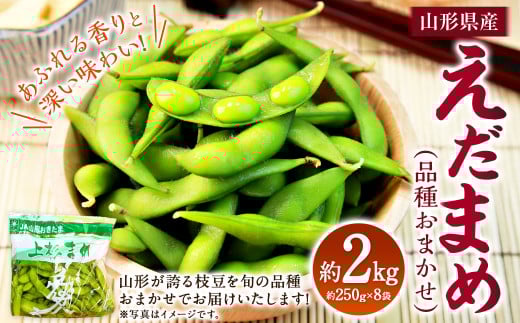 えだまめ （品種おまかせ） 約2kg （約250g✕8） 枝豆 上杉まめ 豆類 【2025年8月上旬～9月上旬発送予定】