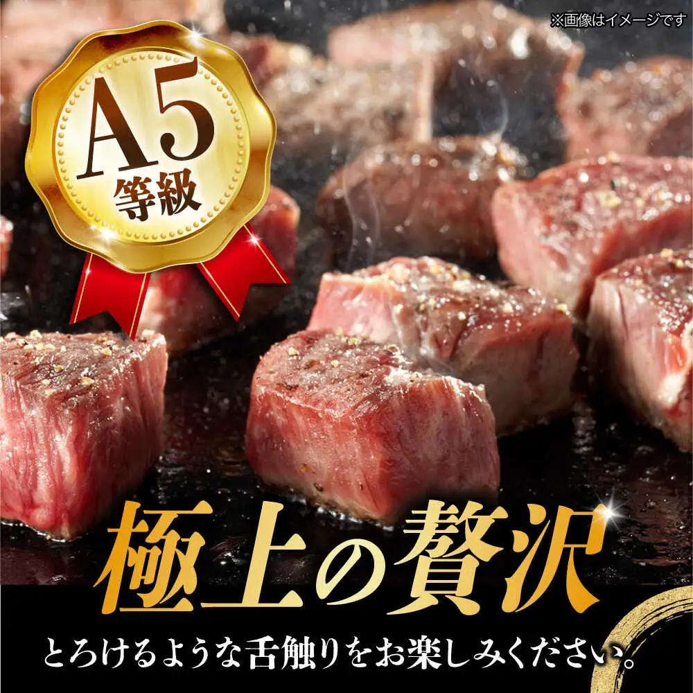 【12回定期便】 【飛騨牛】A5等級 サイコロステーキ 部位おまかせ 1kg 多治見市 [TAZ045] 飛騨牛 サイコロステーキ