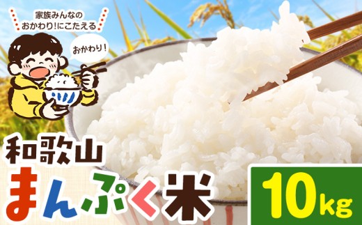 米【速攻出荷!!】 こめ 和歌山まんぷく米 約10kg《最短1～5営業日以内に出荷予定(土日祝除く)》  和歌山県 岩出市 送料無料 お米 コメ 白米 精米 国産米 ごはん お弁当 農家 未検査米 和歌山 産地直送 ブレンド米
