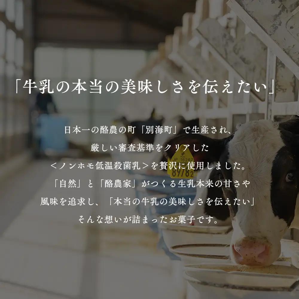 【定期便】濃厚プリン　New Pudding（ニュープディング）（500g×1本）×6ヶ月【be152-0931-100-6】 （ ぷりん プリン 濃厚 乳製品 スイーツ 北海道 別海町 人気 ふるさ