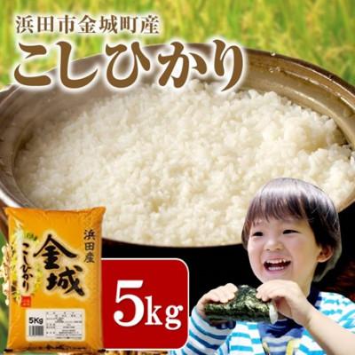 ふるさと納税 浜田市 【令和7年産】《10月より順次発送》浜田市金城町産こしひかり　5kg