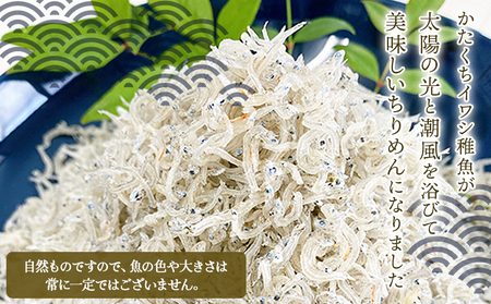 井上のちりめんＡ　特撰上物ちりめん
