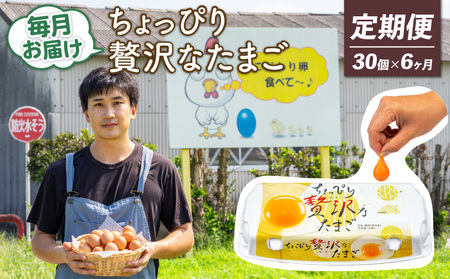 【定期便6回】こだわり たまご 30個 (10個×3パック) 新鮮 平飼い 卵 ﾀﾏｺﾞ