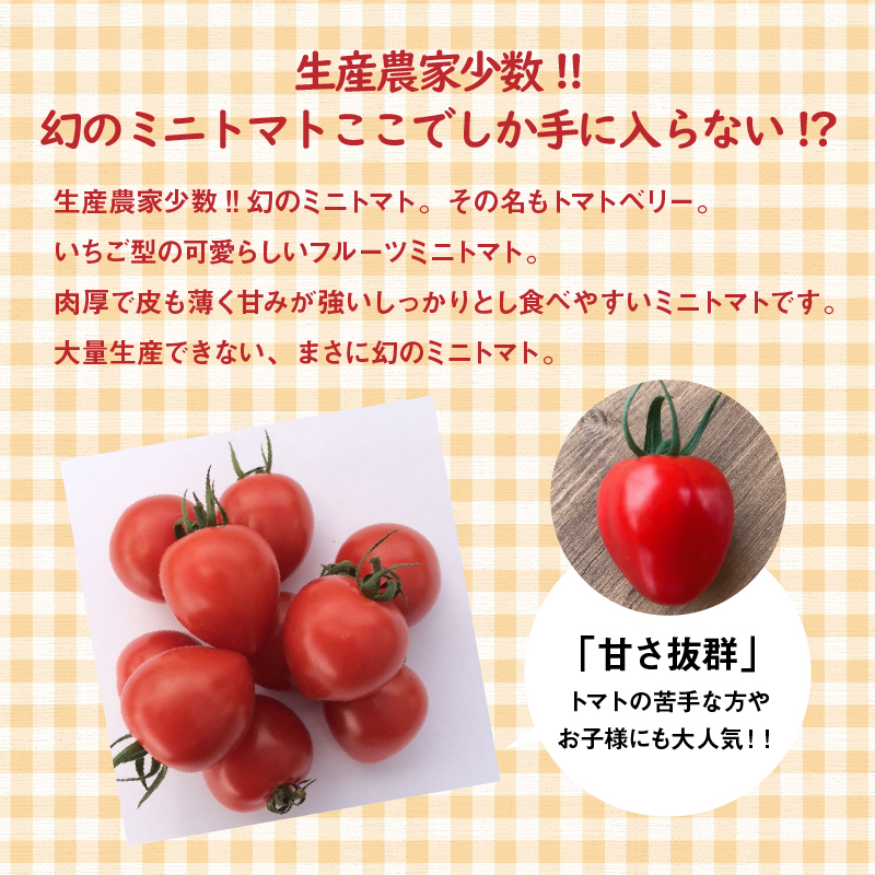 1月～6月毎月発送　幻のミニトマト　トマトベリーの定期便　6回コース 野菜ソムリエサミット 金賞 受賞 長田農園 産地直送 トマト とまと 野菜 やさい フルーツ サラダ 濃厚 甘い ご褒美 プレゼン