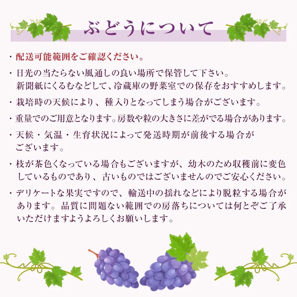 長野市産 【先行予約】フルーツ定期便（川中島白桃・ナガノパープル・シャインマスカット・サンふじ） 長野市