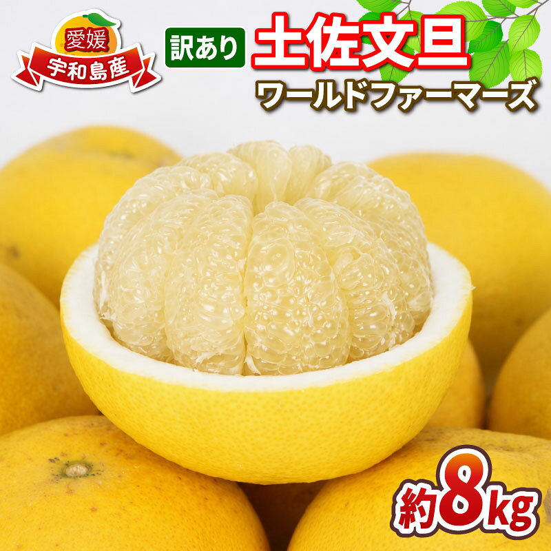 【ふるさと納税】 訳あり 土佐文旦 8kg ワールドファーマーズ わけあり ぶんたん 文旦 愛媛みかん 愛媛ミカン 愛媛蜜柑 訳アリ 訳あり品 訳有り 訳ありみかん 訳あり蜜柑 mikan 果物 くだもの フルーツ 柑橘 みかん 蜜柑 数量限定 産地直送 国産 愛媛 宇和島 B010-024024