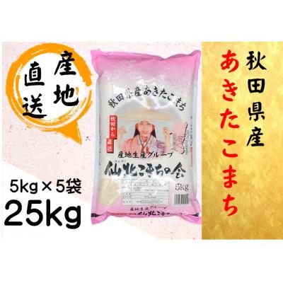ふるさと納税 大仙市 【令和7年産新米】秋田県産あきたこまち　精米25kg(5kg×5袋)