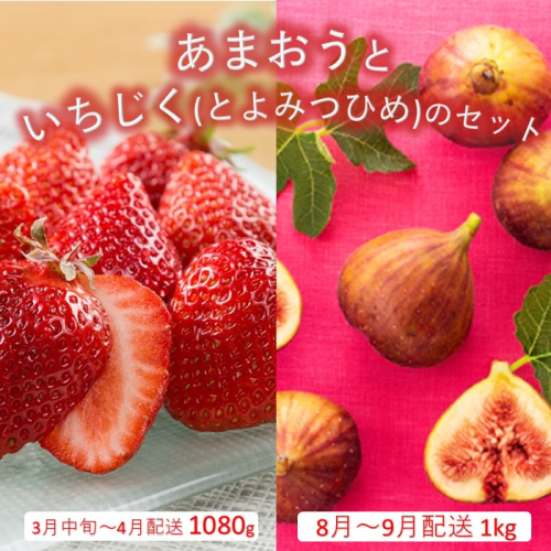 B385.あまおう約1,080gといちじく（とよみつひめ）約1kgのセット【あまおう】【とよみつひめ】