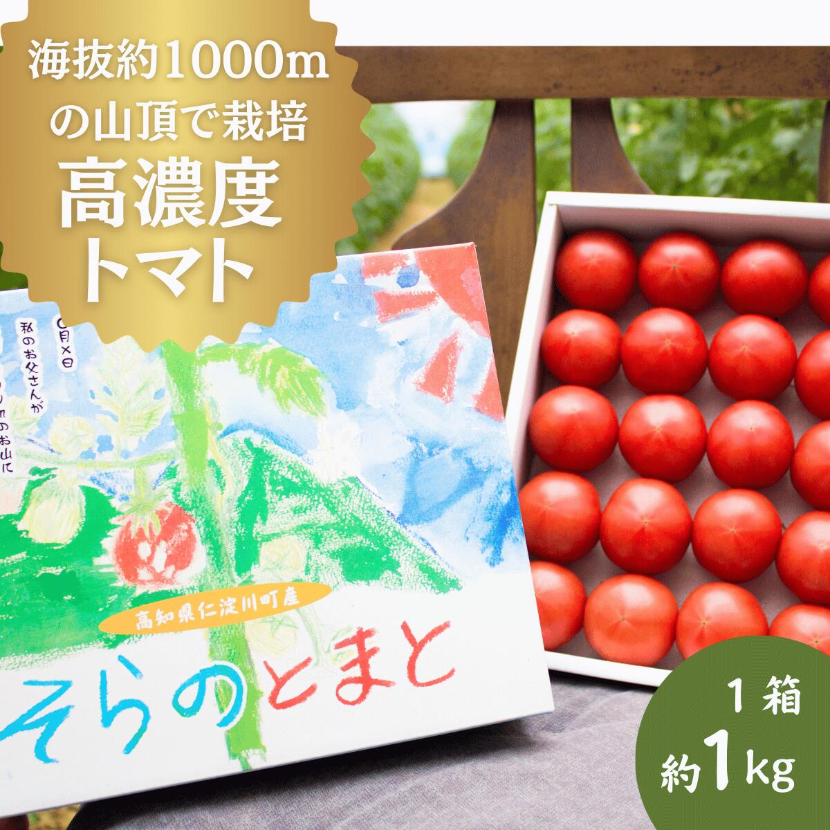 【ふるさと納税】【先行予約】【期間限定】そらのとまと 1kg 夏秋限定 無加温栽培 高知県産 フルーツトマト とまと トマト 野菜 やさい 産地直送 人気 おすすめ 贈答 ギフト 送料無料 お取り寄せ