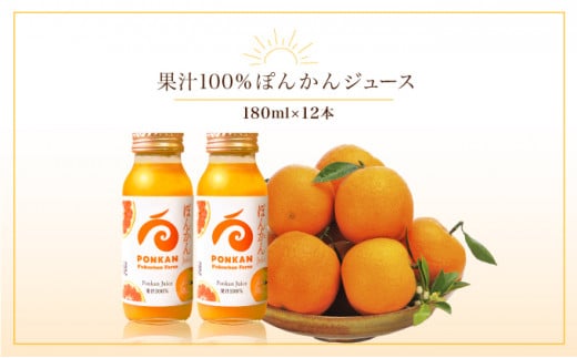 ぽんかんジュース180ml 12本入り 国産 東洋町産 果汁100% フレッシュジュース 酸味 着色料保存料不使用 四国 お取り寄せ フルーツ 果汁飲料 送料無料 F137