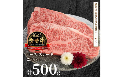 宮崎牛 ロース ステーキ 250g×2 計500g　N0147‐B426