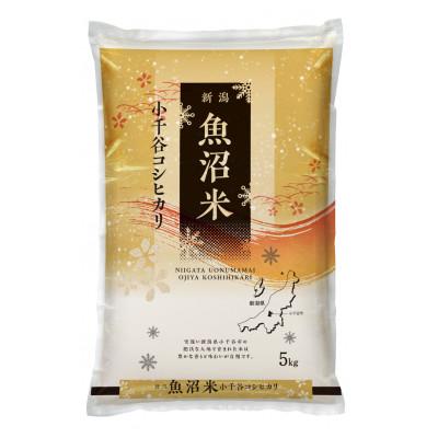 ふるさと納税 小千谷市 雪室貯蔵　魚沼産コシヒカリ 精米 5kg