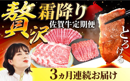 【3回定期便】佐賀牛 贅沢 霜降り 定期便 /牛肉 肉 お肉 焼肉 すきやき ステーキ 国産 九州 [IAH086]