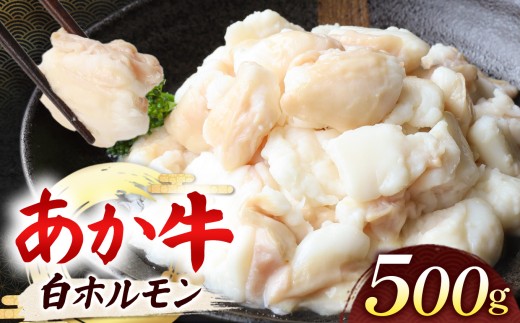あか牛 白 ホルモン 計500g (250g×2P)  | 肉 にく お肉 おにく 牛 あか牛 ホルモン 白ホルモン 熊本県 玉名市