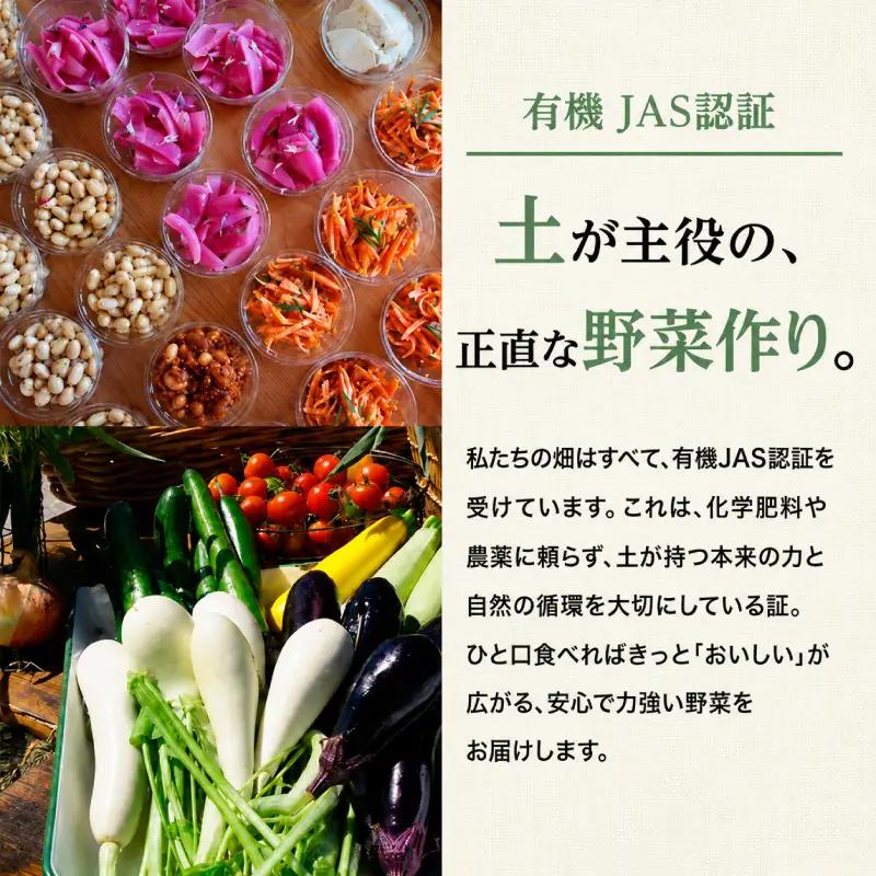 小笠原農園の有機じゃがいも「とうや」5kg 北海道 十勝 幕別《2026年秋出荷先行予約》【 野菜 芋 じゃがいも とうや 】