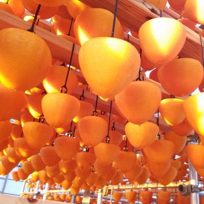 
            丸京農園だけの“ 逸品”美しい粉雪の「 干し富士柿 」( 家庭用・クール発送 )＜C72-5＞_ 干し柿 干しかき 干しカキ フルーツ 果物 くだもの 青果 産地直送 産直 愛媛 冷蔵 富士柿 大きい 家庭用 希少 国産 【1445473】
          