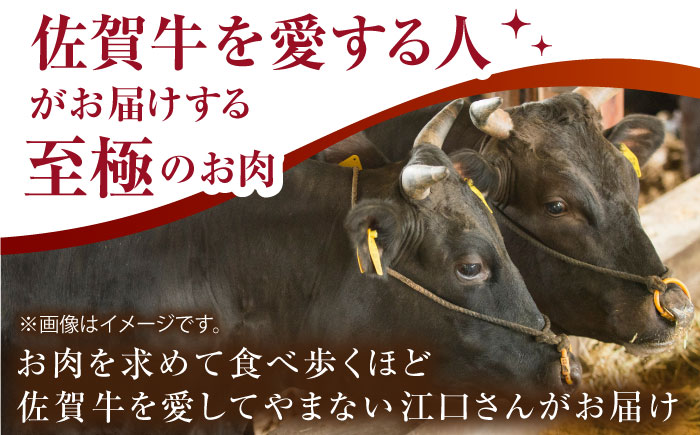 佐賀牛 ヒレ サイコロステーキ 200g【がばいフーズ】A5ランク 佐賀牛 [HCS082]