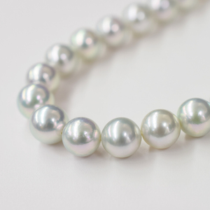 S085-438_あこや真珠 ネックレス アクセサリー チョーカー ナチュラル 9mm - 9.5mm 真珠